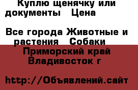 Куплю щенячку или документы › Цена ­ 3 000 - Все города Животные и растения » Собаки   . Приморский край,Владивосток г.